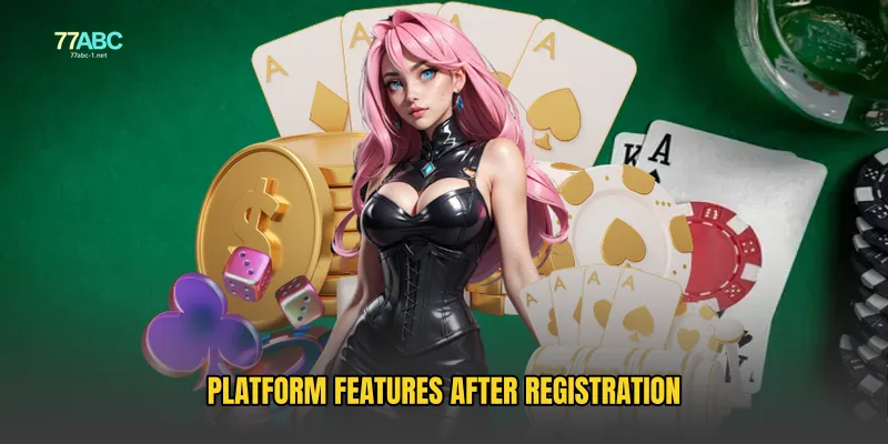Platform Features After Registration
